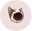 POPCAT